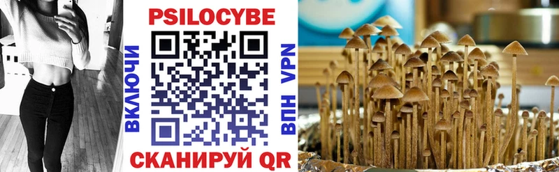 omg маркетплейс  Новопавловск  Псилоцибиновые грибы MAGIC MUSHROOMS 
